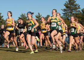 Another successful season for wildcat runners.