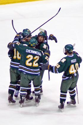 Wildcats celebrate a goal last weekend.