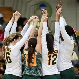 'Cats win two over weekend.