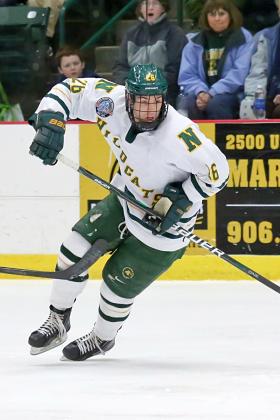 Junior forward Erik Higby.