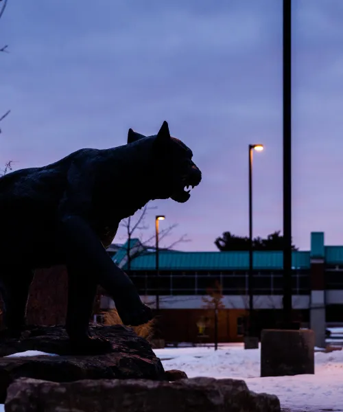 Wildcat statue during sunset