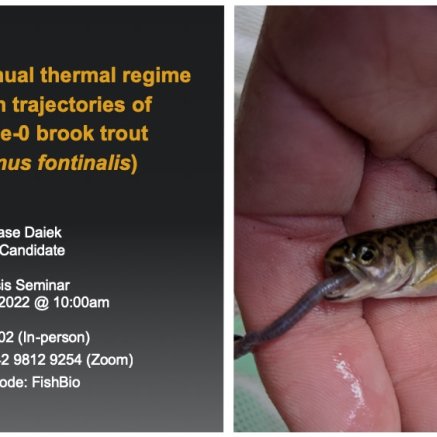 Effects of annual thermal regime on growth trajectories of native age-0 brook trout