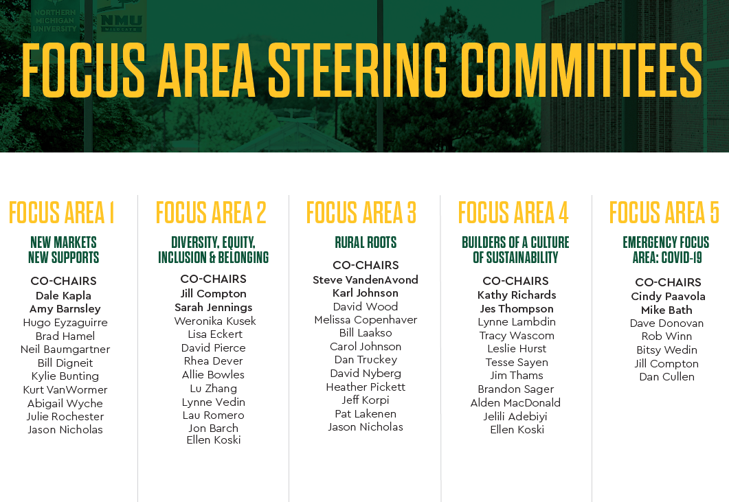 Focus Area Steering Committee organizational chart for current period.