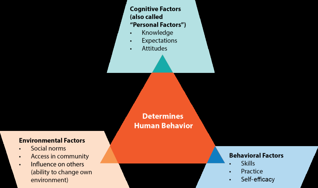 psychological perspective on human functioning that emphasizes the critical role played by the social environment on motivation, learning, and self-regulation