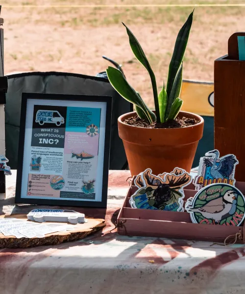 Art show table with plant and artwork