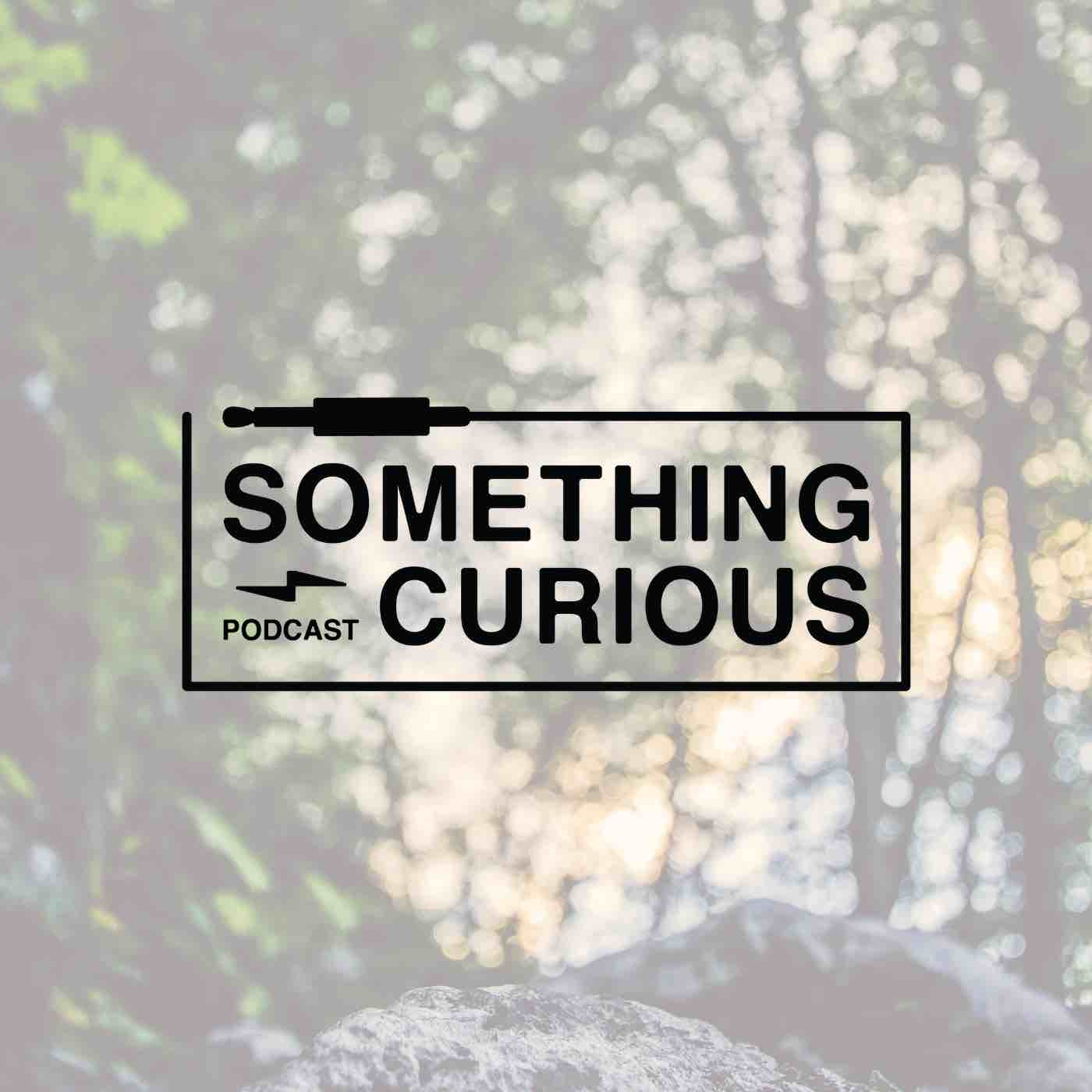 Something Curious 