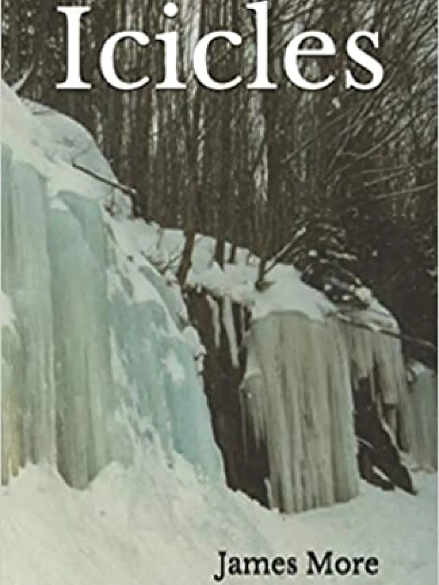 Cover of Icicles by James Moore
