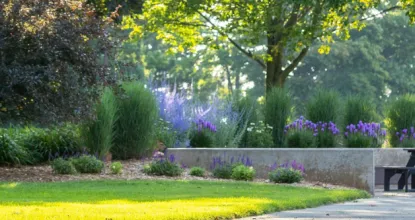 landscaping on the campus of NMU during the summer