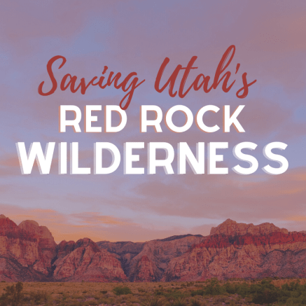 Saving Utah's Red Rock Wilderness