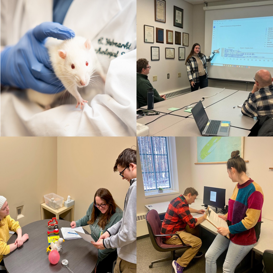 Pictures of research in Toegel labs