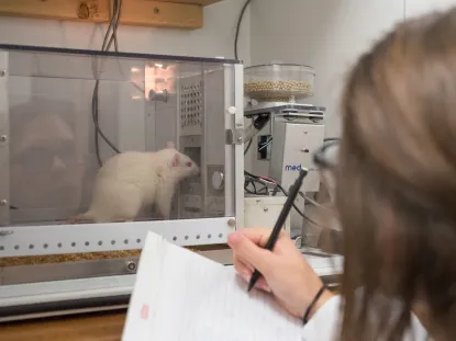 Test rat being studied by young woman
