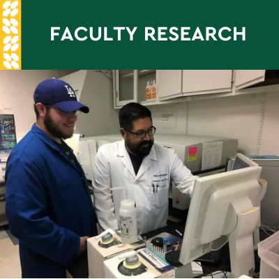 NMU_Faculty_Research_Graphic