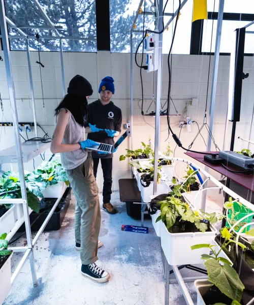 two students working in a greenhouse